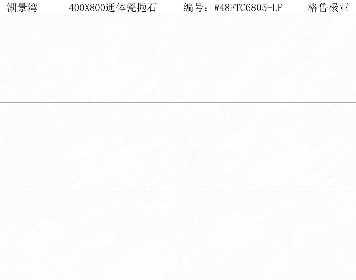 W48FTC6805-LP 格鲁极亚