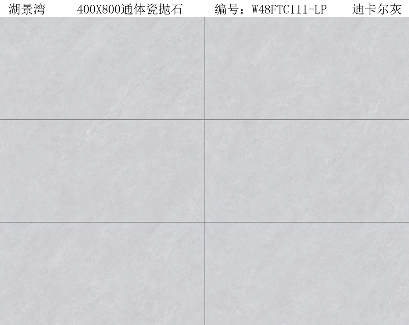 W48FTC111-LP 迪卡尔灰