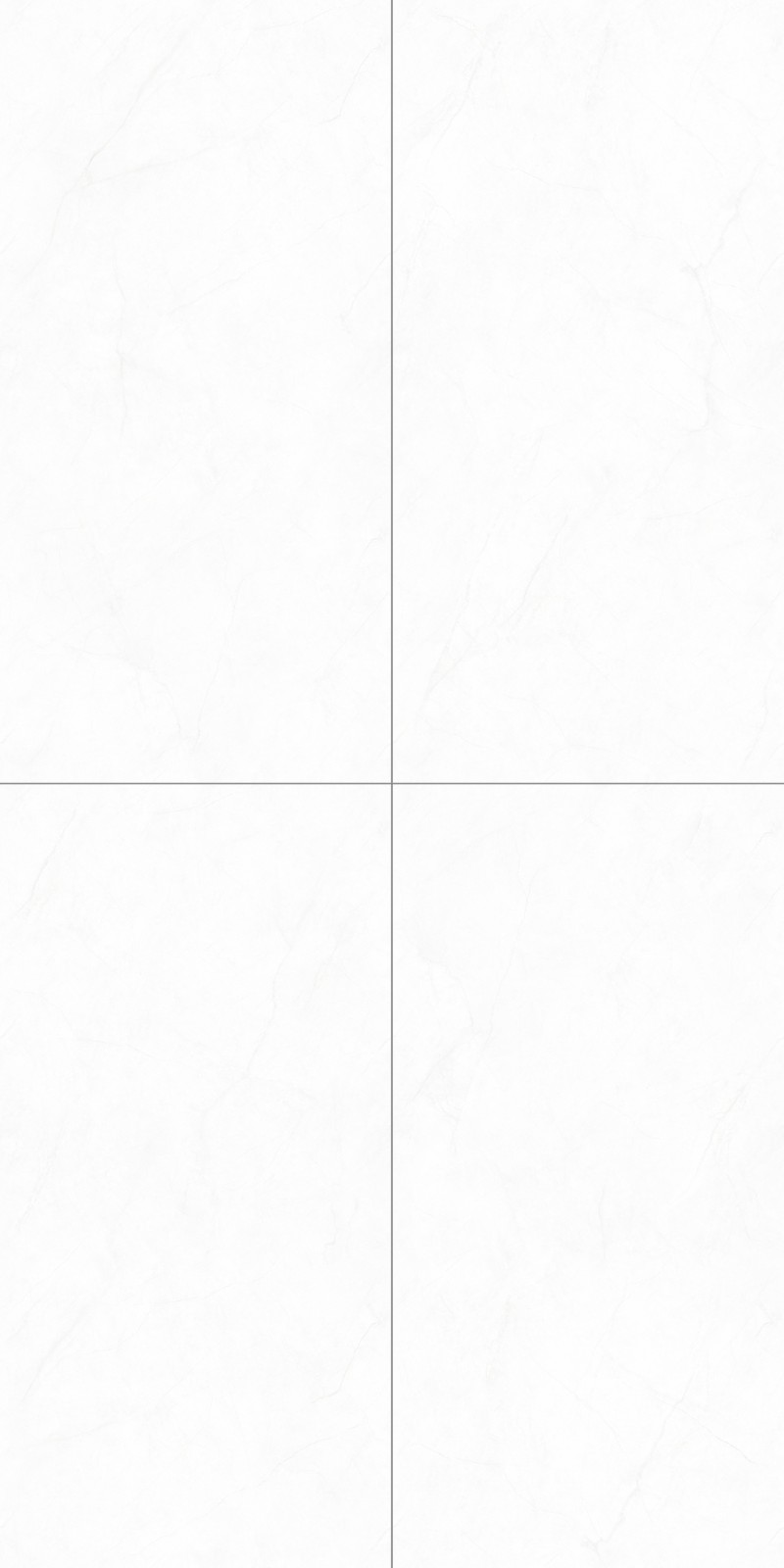 WJ612127 新寒江雪